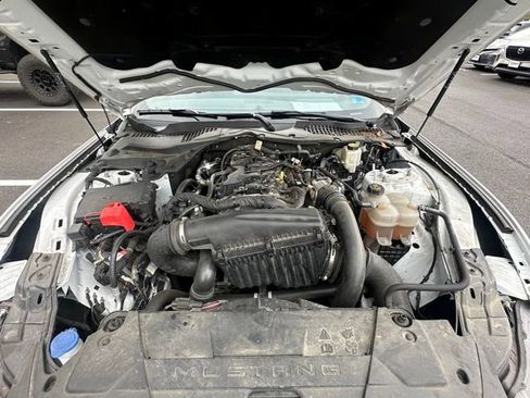 Used 2024 Ford Mustang Premium RWD image 14