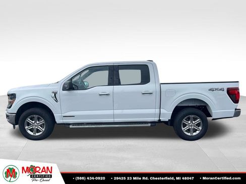 Used 2025 Ford F150 XLT w/ Equipment Group 301A Standard AWD/4WD image 2
