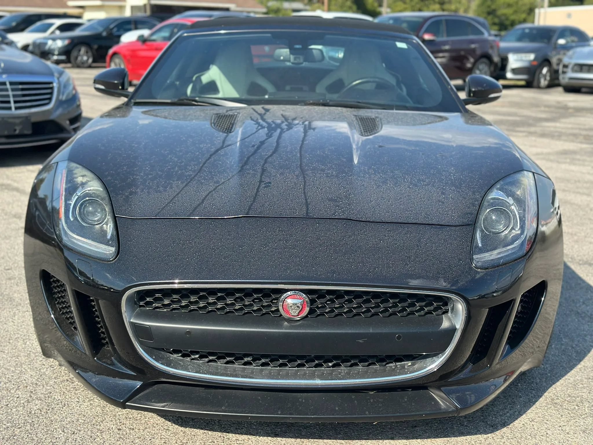 Used 2016 Jaguar F-TYPE Convertible RWD image 5