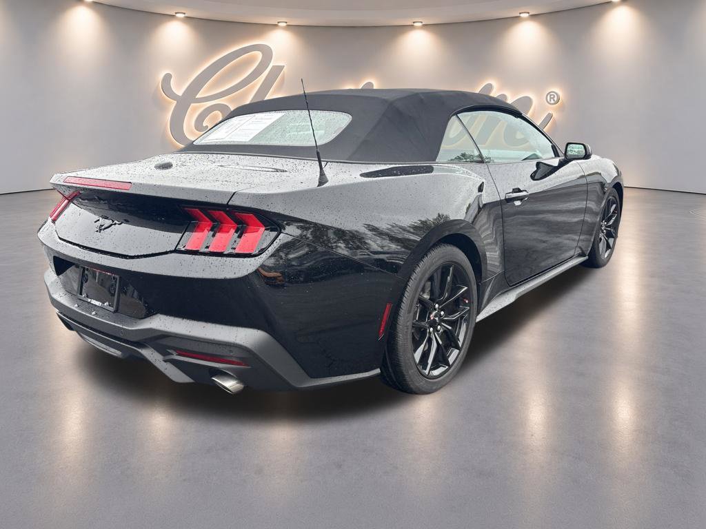 Used 2025 Ford Mustang Convertible w/ Mustang Nite Pony Package RWD image 5