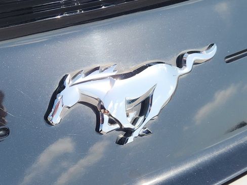 Used 2020 Ford Mustang Premium w/ Equipment Group 201A RWD image 9