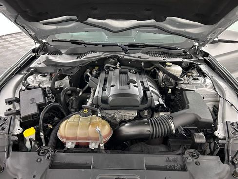 Used 2019 Ford Mustang Premium RWD image 18