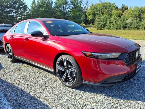 Used 2025 Honda Accord Sport image 14