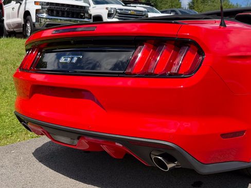 Used 2017 Ford Mustang GT Premium w/ Equipment Group 401A RWD image 15