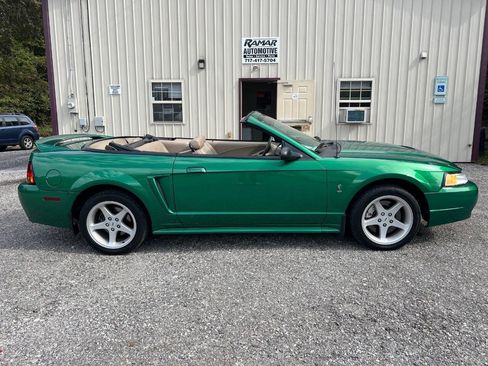 Used 1999 Ford Mustang Cobra image 1