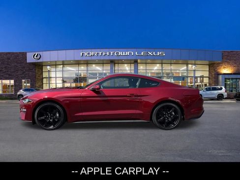 Used 2019 Ford Mustang Coupe w/ Equipment Group 101A RWD image 2