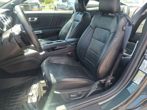 Used 2015 Ford Mustang Premium w/ 50 Years Appearance Package RWD image 13