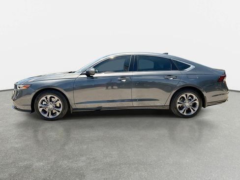 Used 2024 Honda Accord EX-L image 4