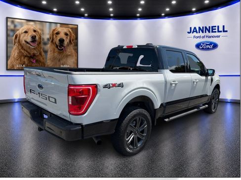 Used 2023 Ford F150 XLT w/ Equipment Group 302A High AWD/4WD image 6