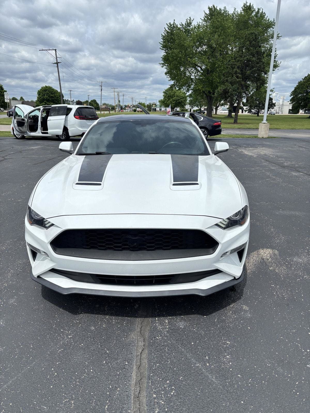 Used 2019 Ford Mustang Premium w/ Black Accent Package RWD image 3
