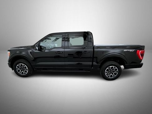 Used 2023 Ford F150 XLT w/ Equipment Group 302A High AWD/4WD image 8