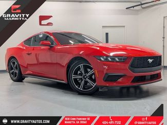 Used 2024 Ford Mustang Premium RWD video 1