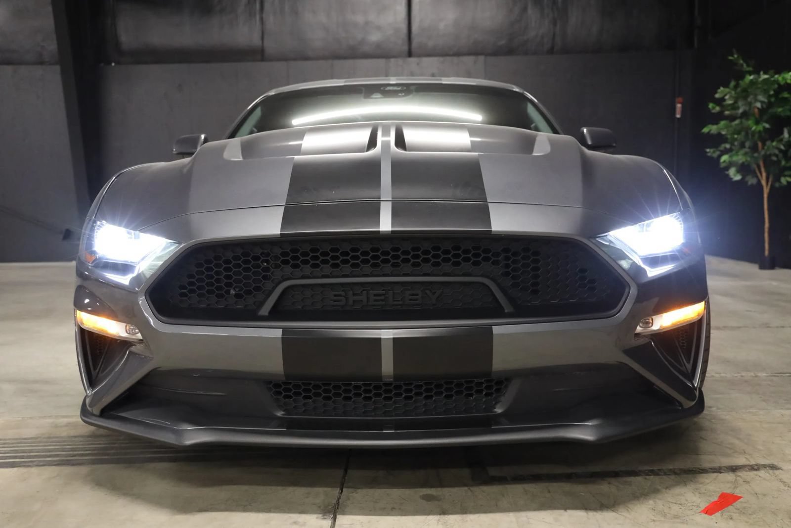 Used 2023 Ford Mustang GT Premium w/ Equipment Group 401A RWD image 5