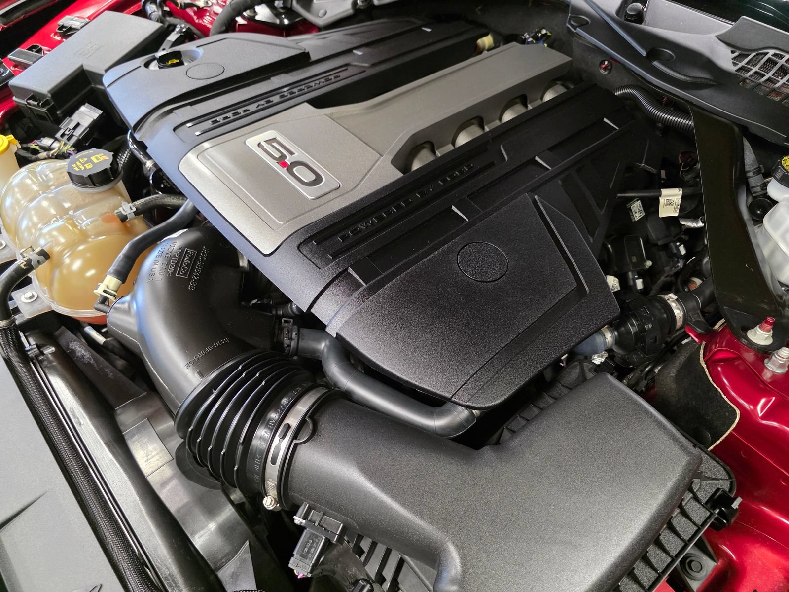 Used 2019 Ford Mustang GT Premium w/ Equipment Group 401A RWD image 36
