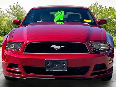 Used 2013 Ford Mustang Premium w/ Comfort Pkg image 3