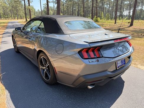 Used 2024 Ford Mustang Premium image 3