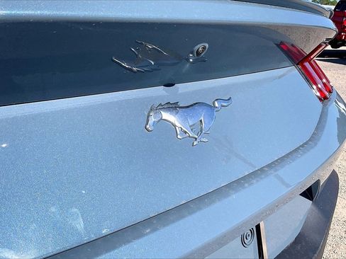 New 2026 Ford Mustang Premium image 14