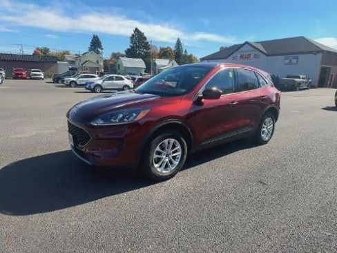Used 2021 Ford Escape SE w/ Cold Weather Package image 4