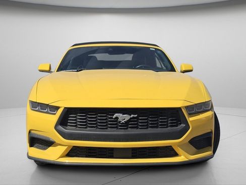 Used 2024 Ford Mustang Premium image 3