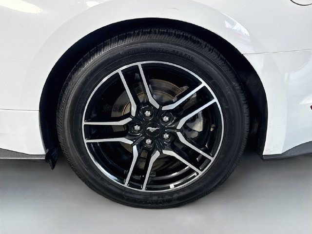 Used 2019 Ford Mustang Premium RWD image 34