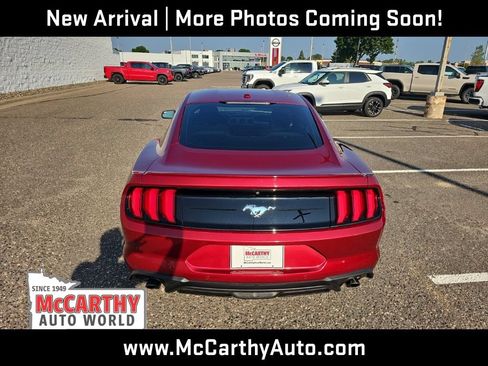 Used 2019 Ford Mustang Coupe w/ Equipment Group 101A RWD image 4