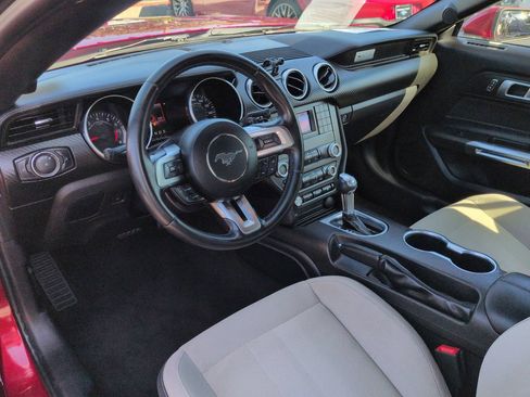 Used 2019 Ford Mustang Convertible RWD image 16