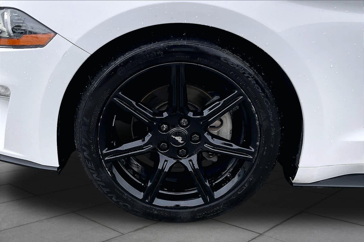 Used 2019 Ford Mustang Premium w/ Ford Safe & Smart Package RWD image 10