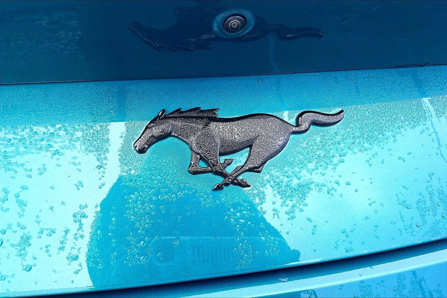 Used 2026 Ford Mustang Coupe w/ Mustang Nite Pony Package RWD image 9