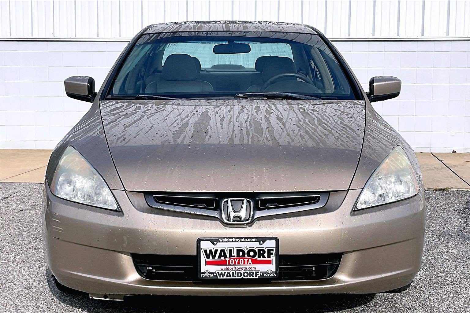 Used 2005 Honda Accord EX-L image 3
