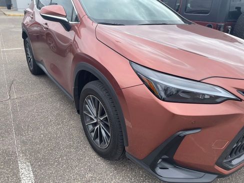 Used 2025 Lexus NX 350 AWD w/ Accessory Package (2T) image 19