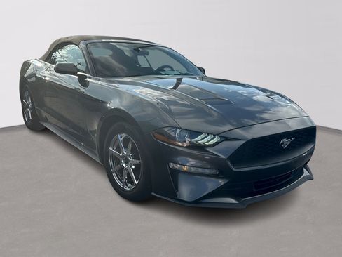 Used 2019 Ford Mustang Convertible RWD image 2