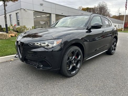 New 2025 Alfa Romeo Stelvio Sprint image 4