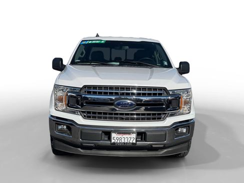 Used 2019 Ford F150 XLT w/ Equipment Group 302A Luxury RWD image 8