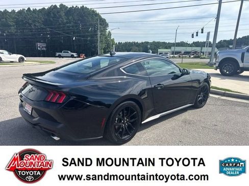 Used 2025 Ford Mustang Coupe w/ Mustang Nite Pony Package RWD image 3