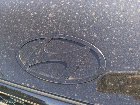 New 2026 Hyundai Santa Fe Calligraphy FWD image 13