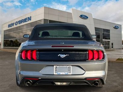 Certified 2022 Ford Mustang Premium