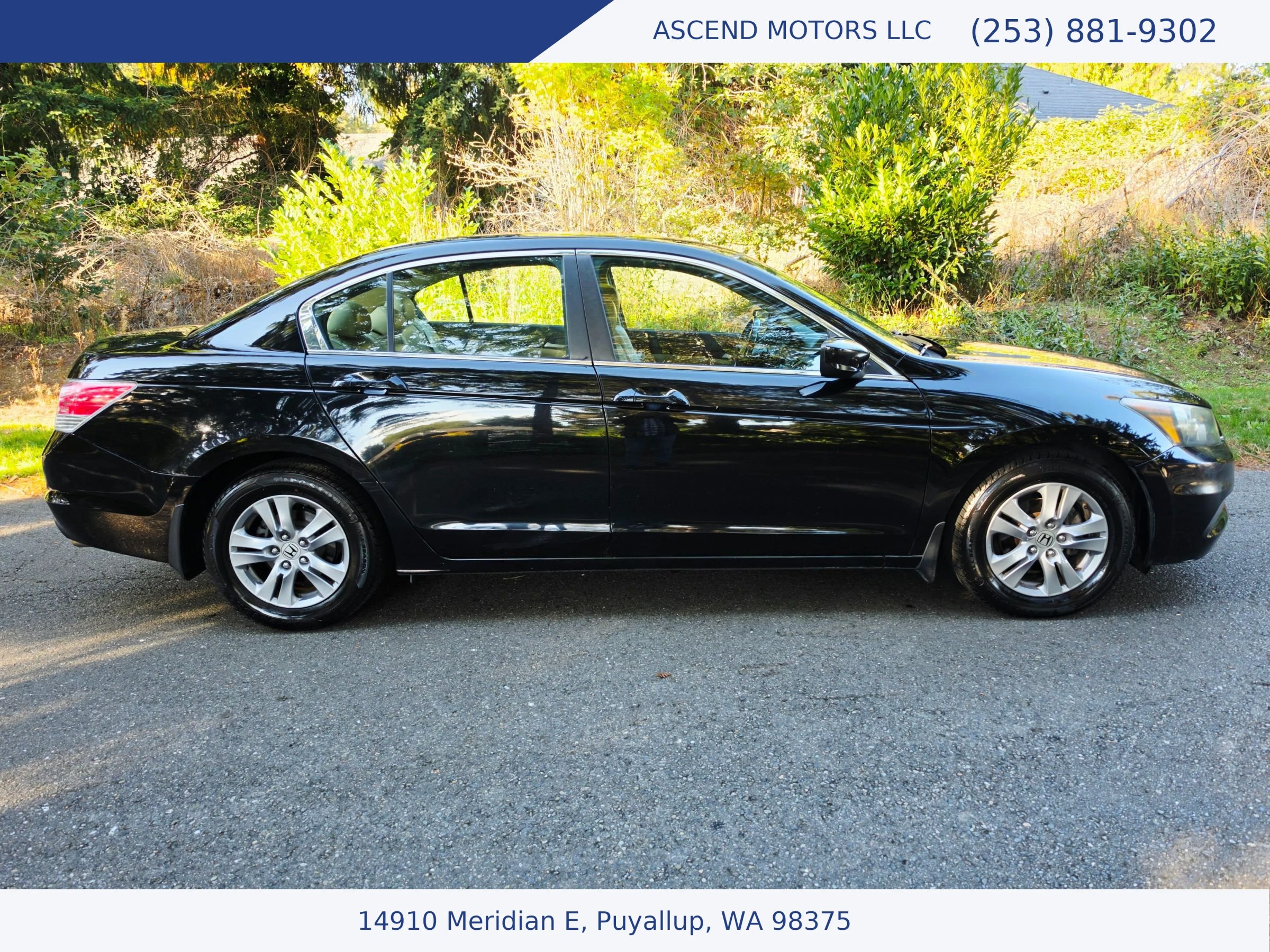 Used 2011 Honda Accord SE image 6