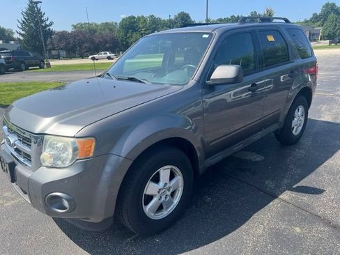 Used 2010 Ford Escape XLT FWD image 1