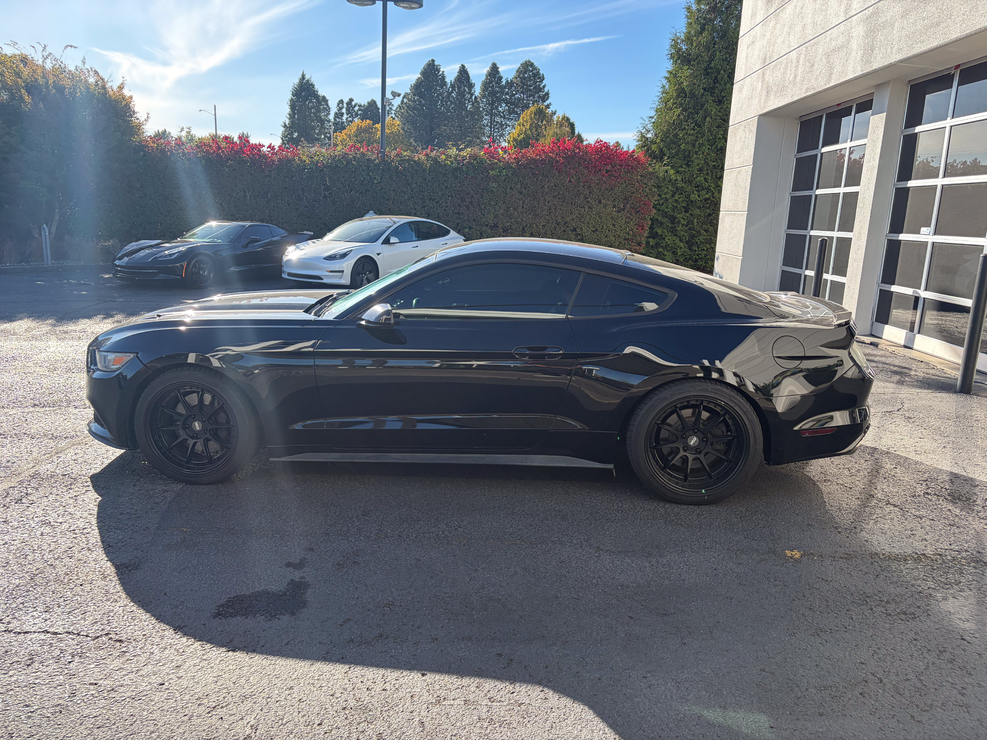 Used 2015 Ford Mustang GT RWD image 5
