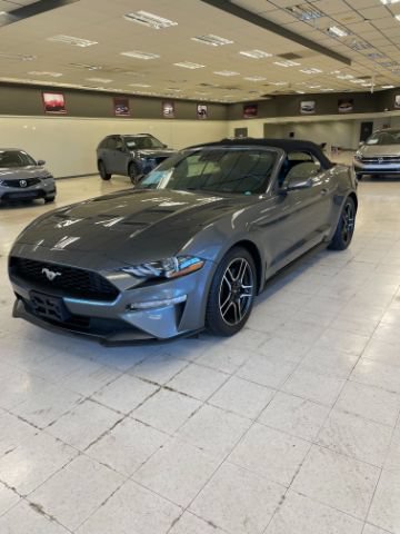 Used 2022 Ford Mustang Premium RWD image 1