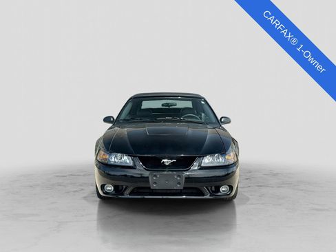 Used 2001 Ford Mustang Cobra RWD image 11
