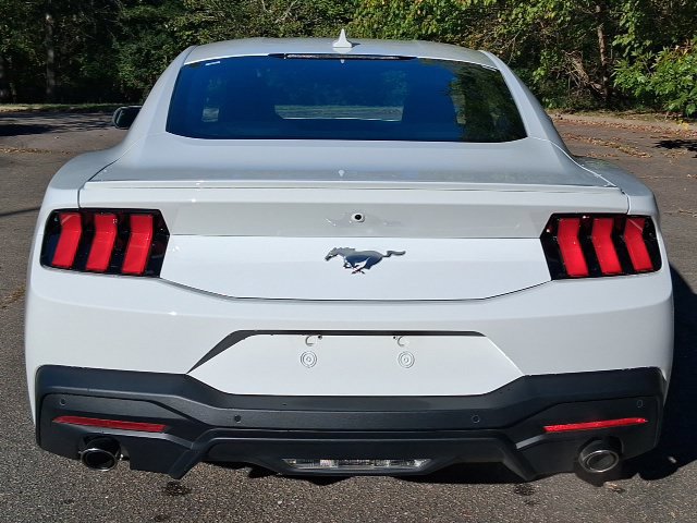 Used 2024 Ford Mustang Premium RWD image 4