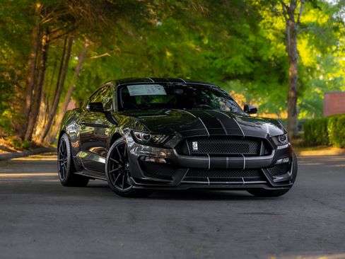 Used 2016 Ford Mustang Shelby GT350 w/ Technology Package image 1
