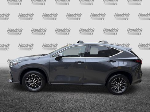 Certified 2024 Lexus NX 350h AWD w/ Cold Area Package image 7