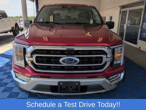 Used 2022 Ford F150 XLT w/ Equipment Group 302A High AWD/4WD image 2