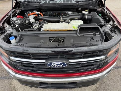 Used 2024 Ford F150 XLT w/ Equipment Group 302A MID image 34