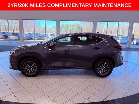 Certified 2024 Lexus NX 250 FWD w/ Premium Package image 3
