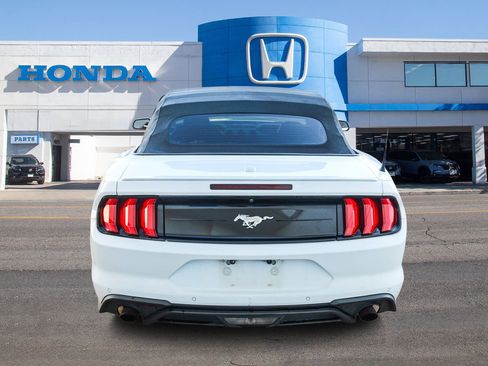 Used 2021 Ford Mustang Premium image 8