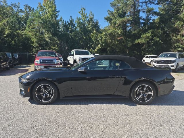 Used 2024 Ford Mustang Premium RWD image 6