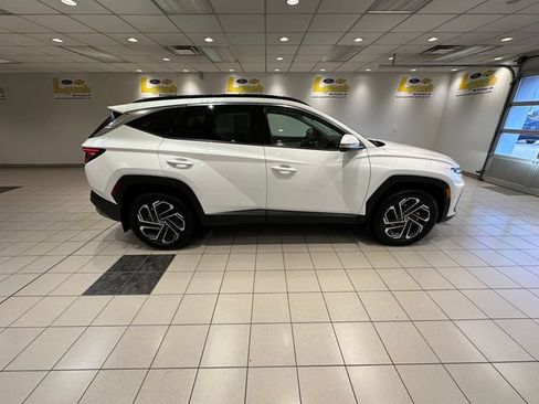 Used 2025 Hyundai Tucson Limited AWD/4WD image 3
